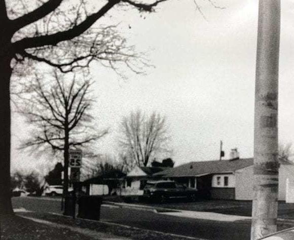 Black and white image of houses and trees